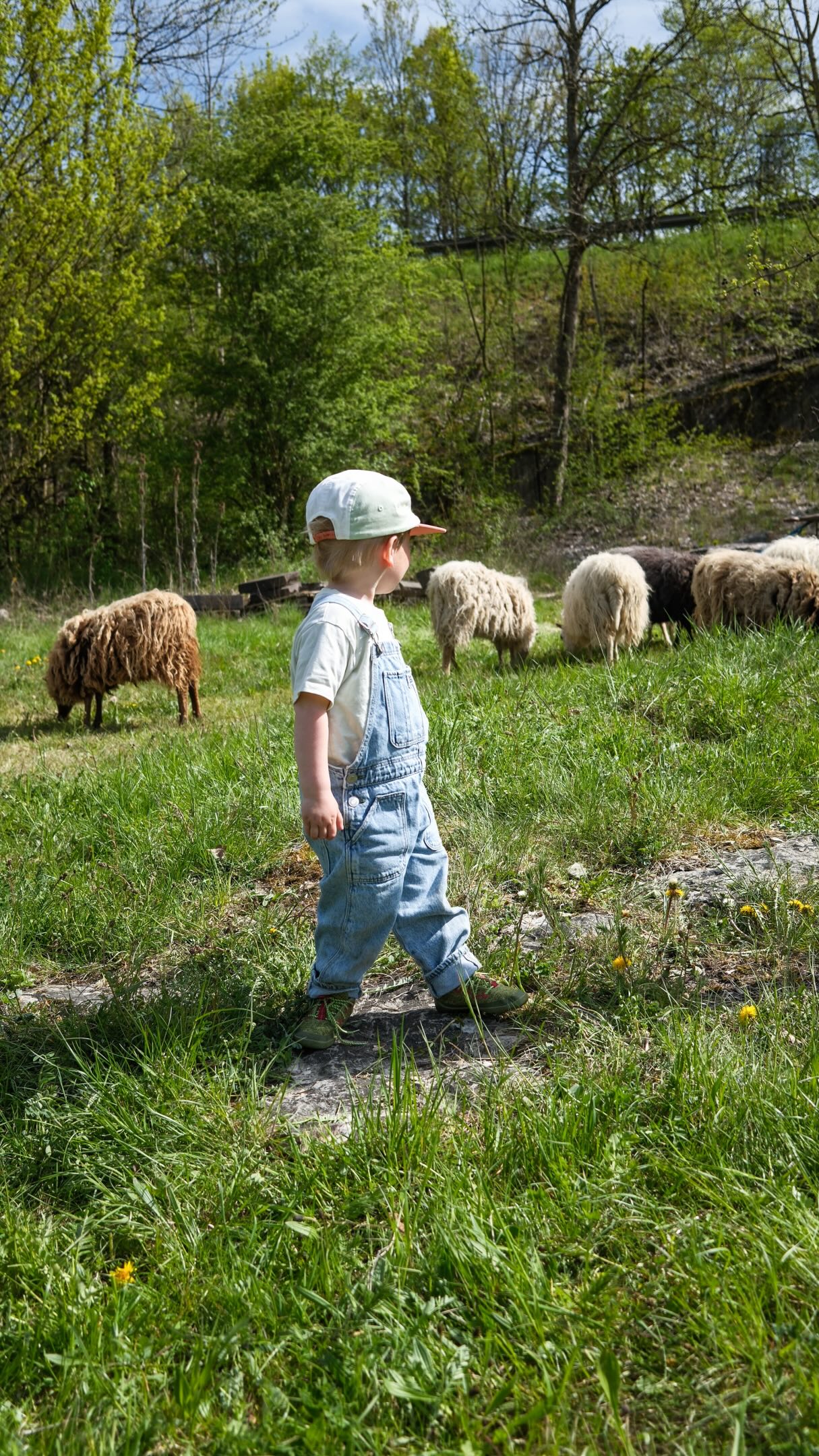 Kann mich mal jemand kneifen bitte? 🥹 Wir sind jetzt einfach zu viert und dürfen all das erleben ♥️ 

#familyoffour #boymom #newborn #toddler