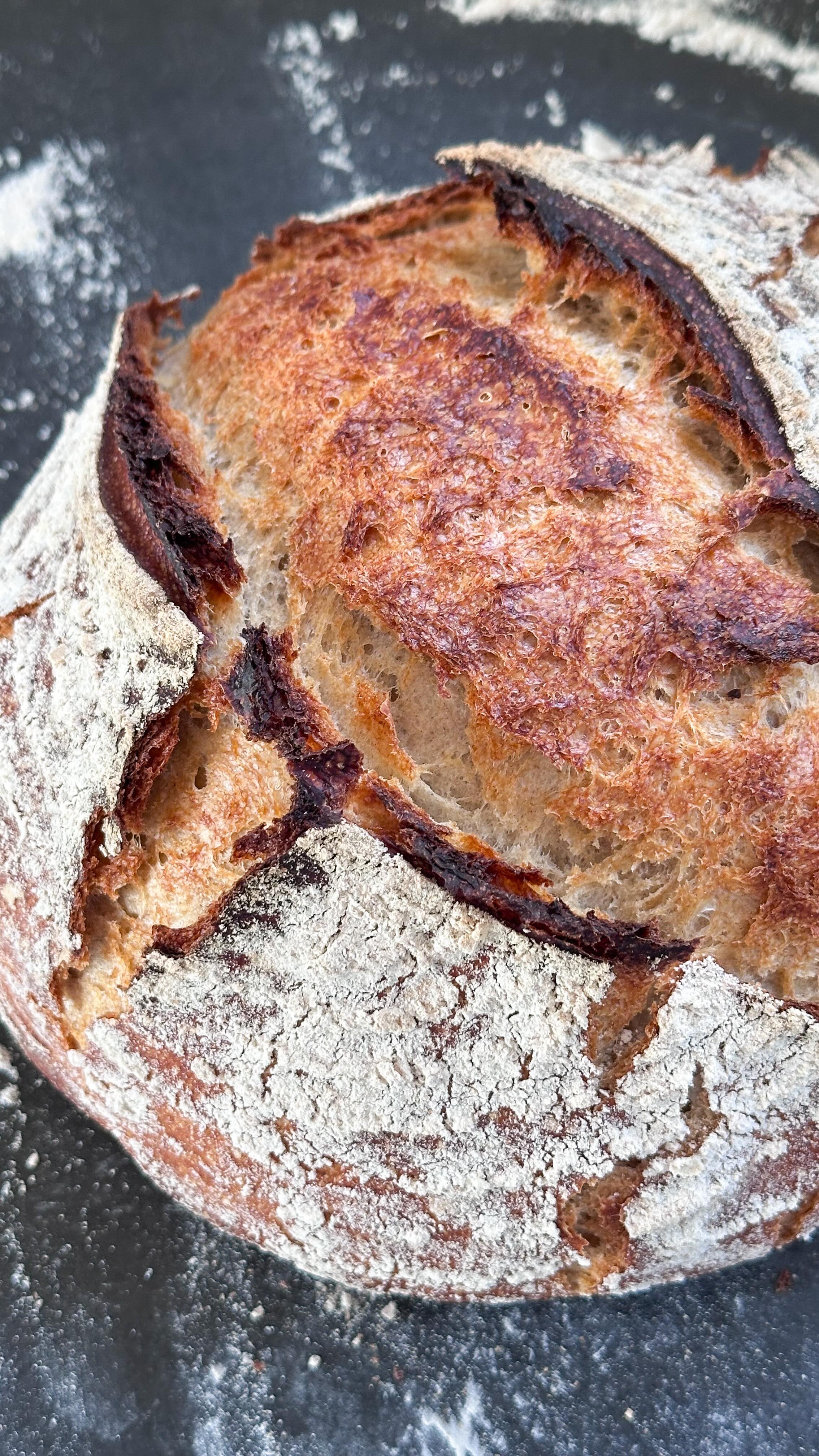 Dieses Brot ist super knusprig und innen soft und saftig! Ihr werdet es lieben, versprochen! 

300g Weizenmehl T550
100g Weizenmehl T1050
80g Roggenmehl T1150
50g-150g Anstellgut vom Sauerteig (optional und je nachdem wie viel ihr habt - ich habe Roggen- und Weizensauerteig genommen)
320ml Wasser + 50-100ml Wasser
1g frische Hefe
14g Salz

Mehl und Wasser kurz miteinander verkneten und für 30-60 Minuten stehen lassen. Dann den Sauerteig und die Hefe dazugeben und für 2 Minuten kneten. Das Salz hinzufügen und für weitere 5 Minuten kneten. Ggf. nochmals etwas Wasser hinzufügen, sodass der Teig elastisch ist und sich vom Schüsselrand löst. 

Für 2h bei Zimmertemperatur ruhen lassen und nach jeweils 1h einmal dehnen und falten. Dann über Nacht im Kühlschrank ruhen lassen. 

Am nächsten Mittag den Teig rund formen in ein Gärkörbchen legen und für eine Stunde bei Zimmertemperatur ruhen lassen. 

bei 235 Grad im heißen gusseisernen Topf für 30 Minuten mit geschlossenem Deckel backen. Dann den Deckel abnehmen und für weitere 15 Minuten backen. 

#brotbacken #sauerteig #sauerteigbrot #sourdough #sourdougbread #darmgesundheit #gesundeernährung #zuckerfreierezepte #gesunderezepte #familienküche #einfacherezepte #gesundbacken #pflanzlicheernährung